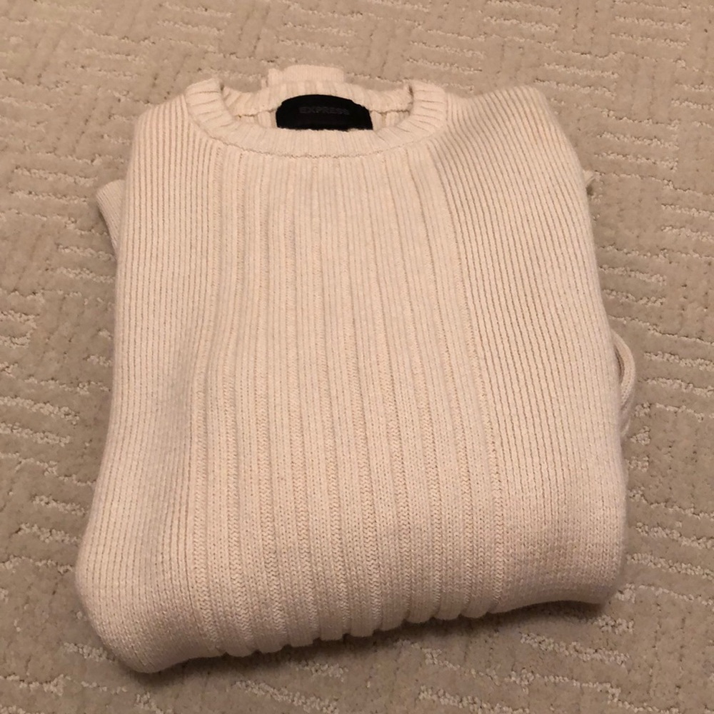 Express Men’s sweater